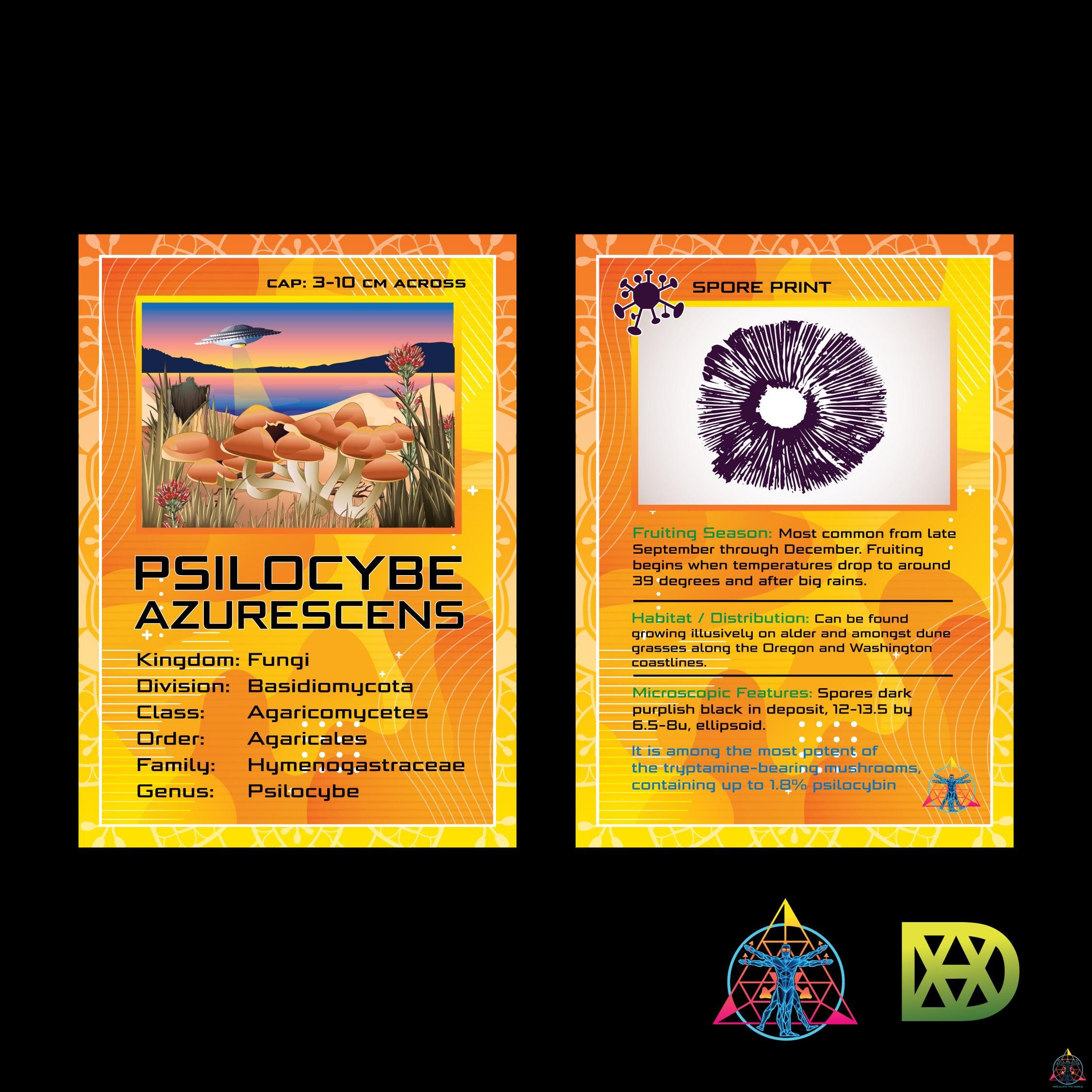 Mushroom Trading Cards - Image 5