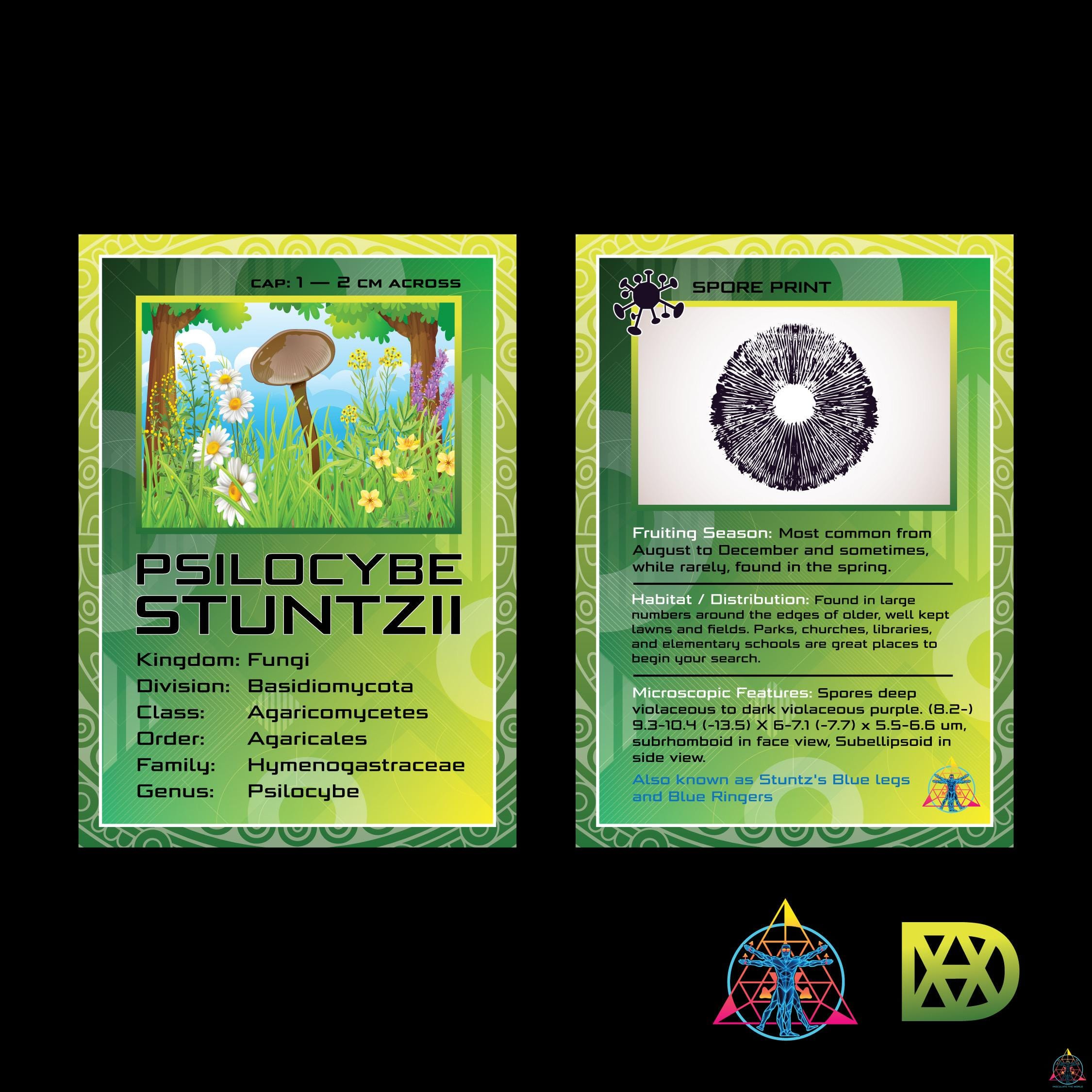 Mushroom Trading Cards - Image 3