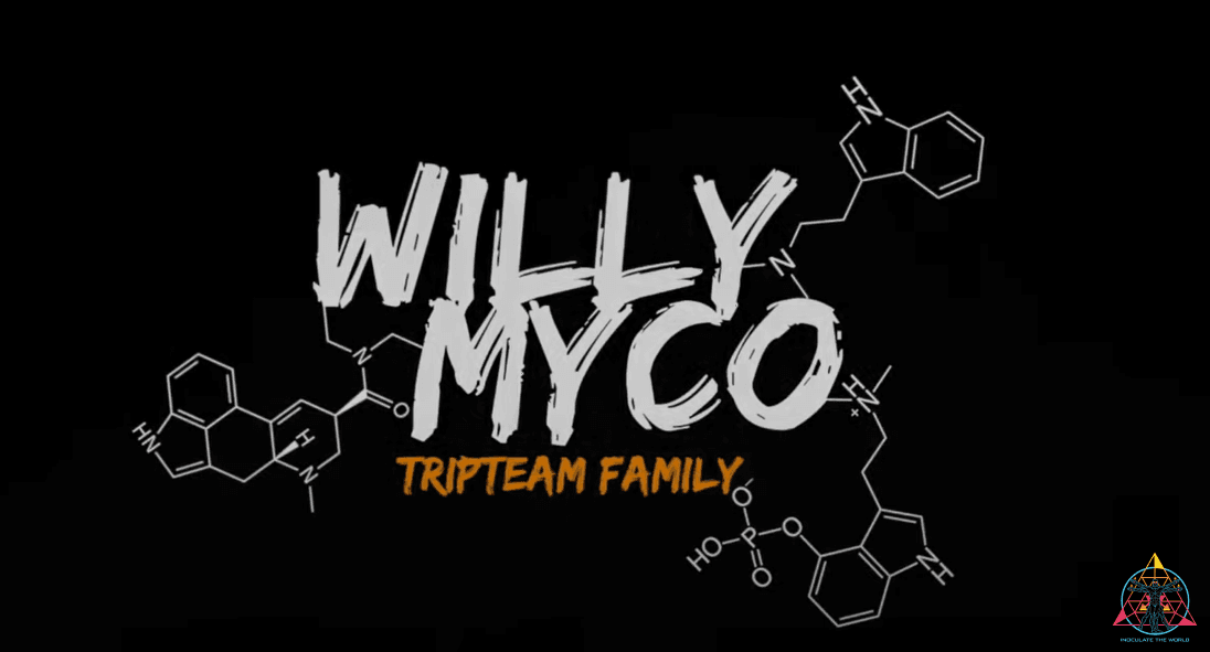 willy myco