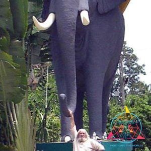 Mycologist John Allen in front of the Elephant Gate where he collected Elephant Gate cubensis mushroom spores