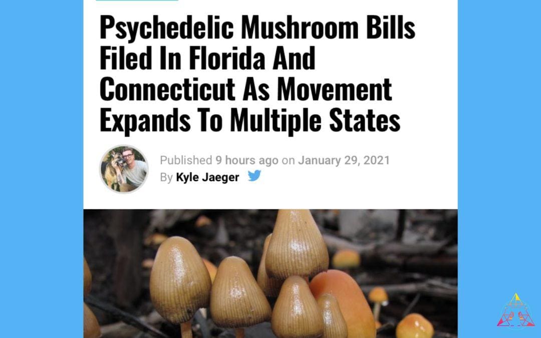 Mushroom Bills Filed In Florida And Connecticut As Movement Expands To Multiple States