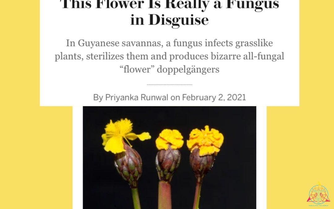 Flower mimic