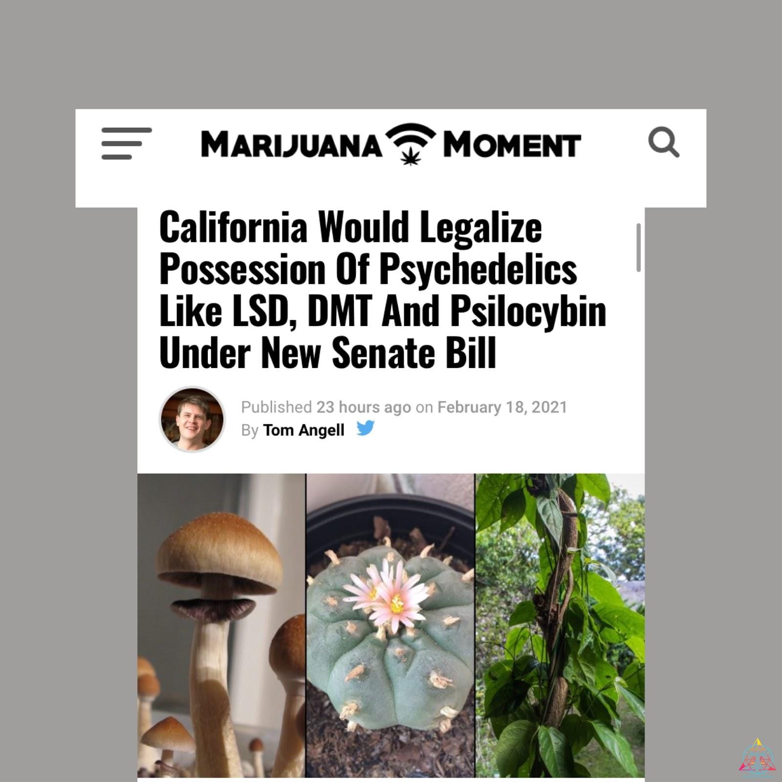 cali legalization