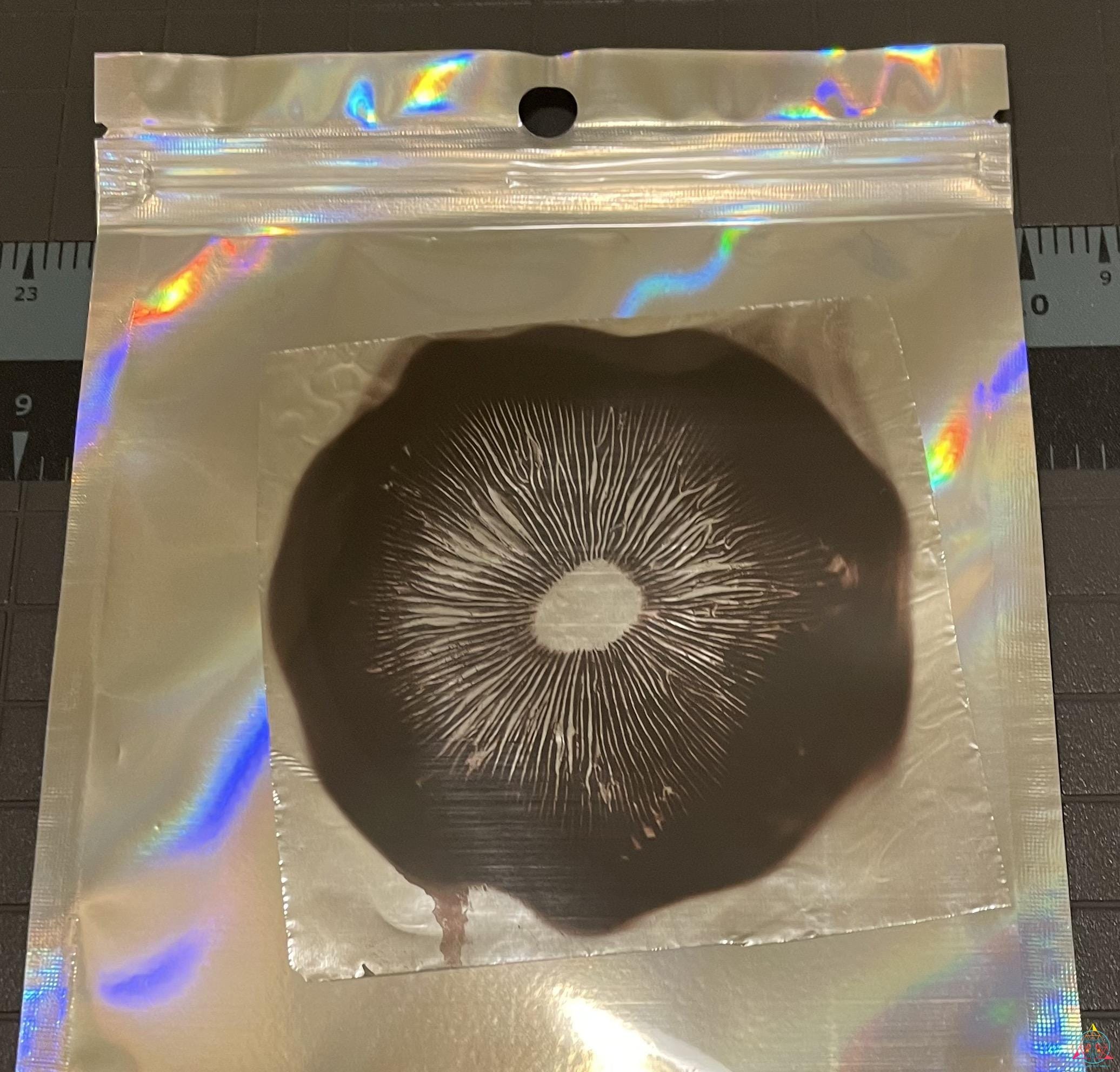 Amazon Cubensis Spore Syringe - Image 4