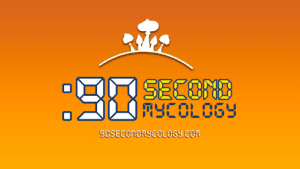 90secondmycology