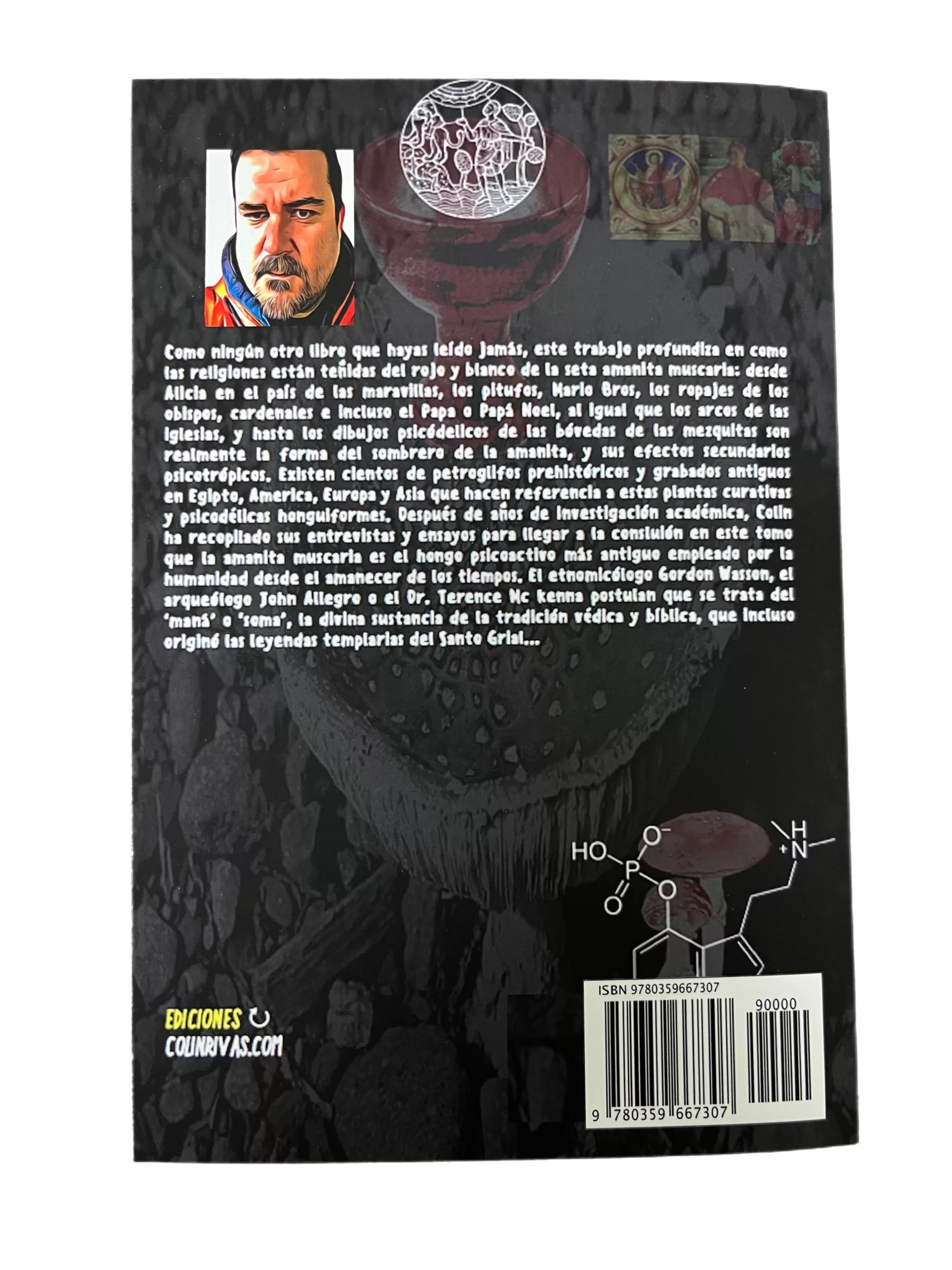 La Amanita Muscaria y Secretos del Santo Grial (Paperback) - Image 2