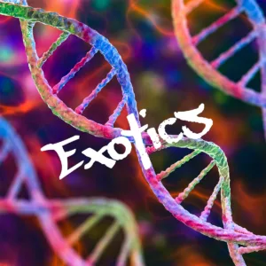 Exotic Spores Special