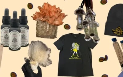 ITW’s 2025 Gift Guide